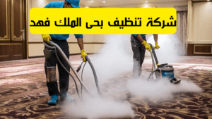شركة تنظيف بحى الملك فهد